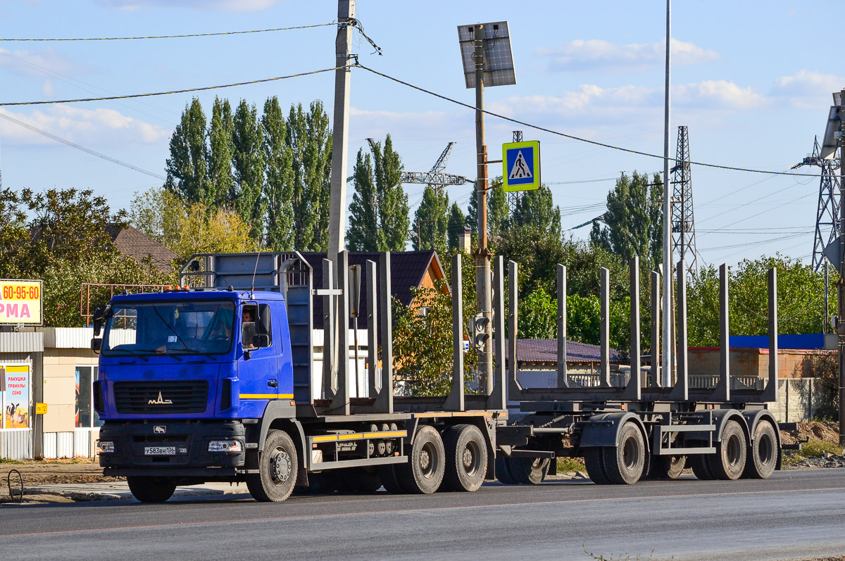 Воронежская область, № У 583 ВН 136 — МАЗ-6312C9