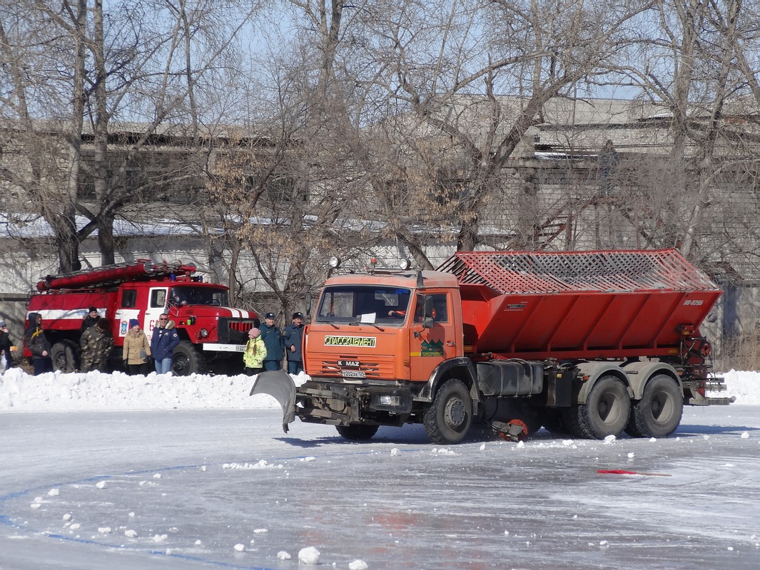 Приморский край, № Е 202 АК 125 — КамАЗ-65115-D3