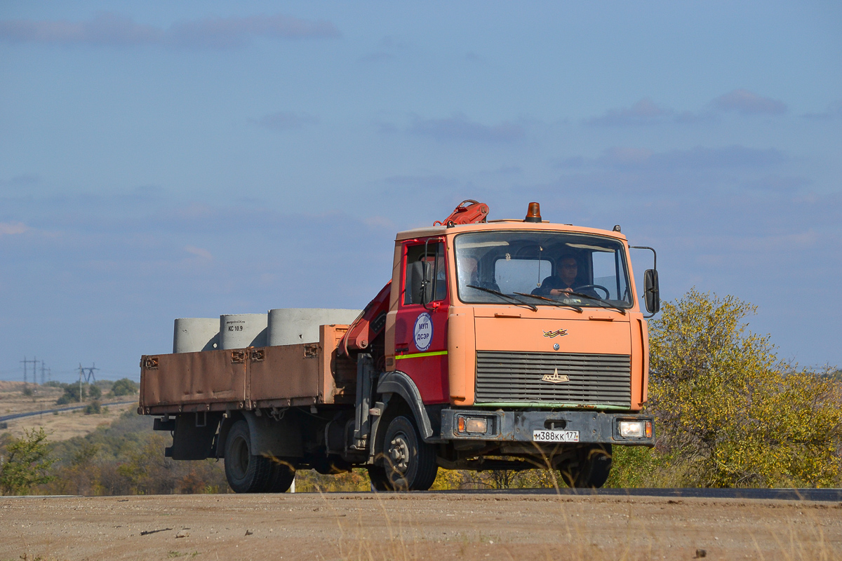 Волгоградская область, № М 388 КК 177 — МАЗ-437041 "Зубрёнок"