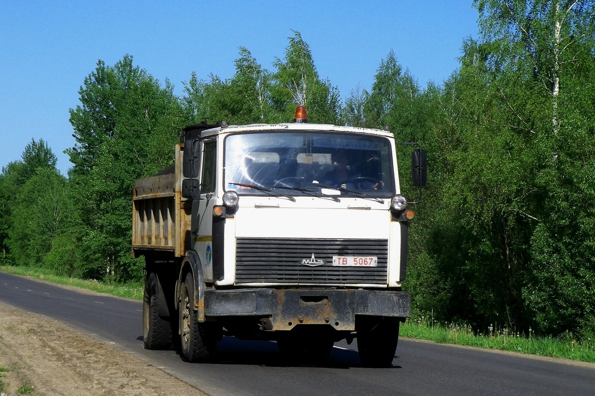 Могилёвская область, № ТВ 5067 — МАЗ-5551 (общая модель)