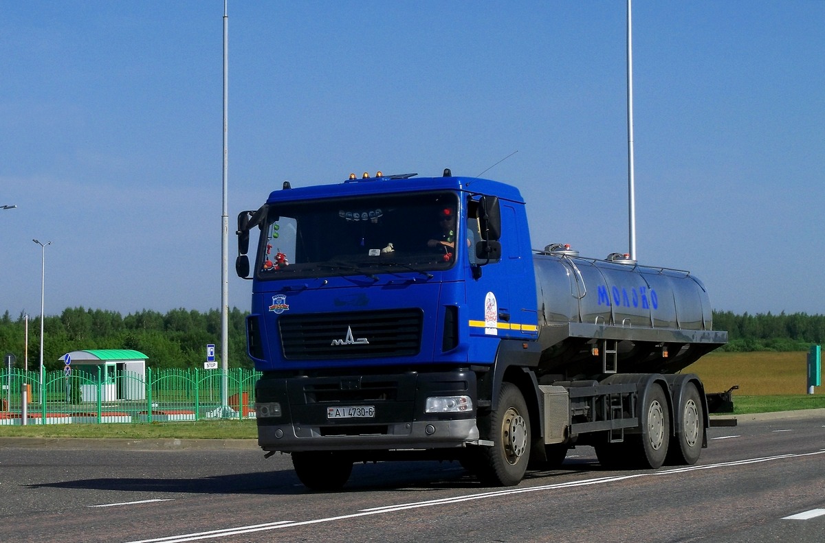 Могилёвская область, № АІ 4730-6 — МАЗ-6312 (общая модель)