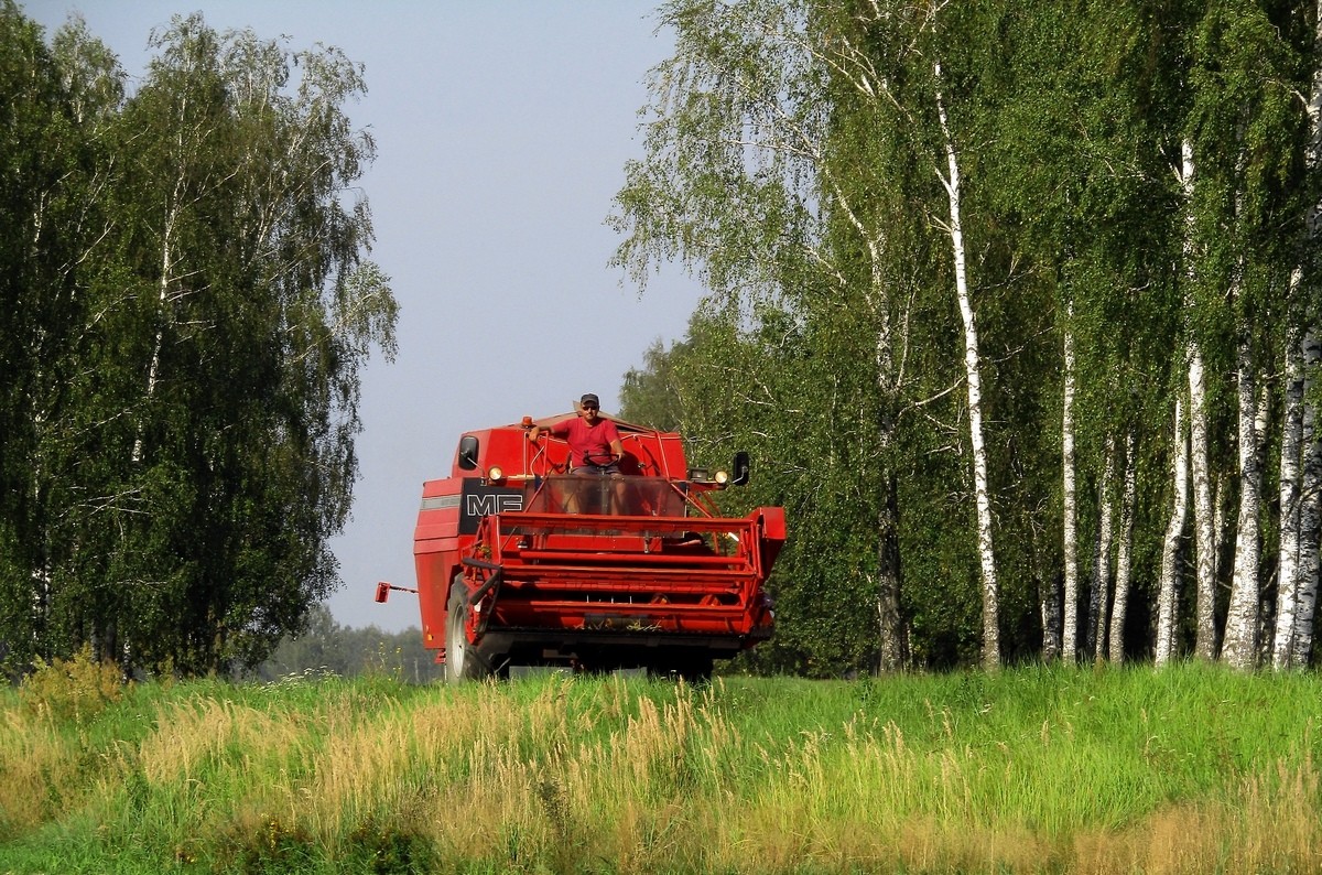 Могилёвская область, № IТ-6 9112 — Massey Ferguson (общая модель)