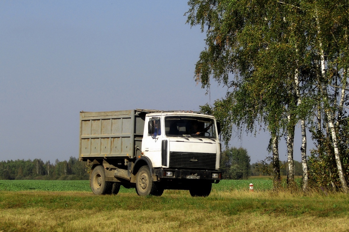 Могилёвская область, № АЕ 6643-6 — МАЗ-555142