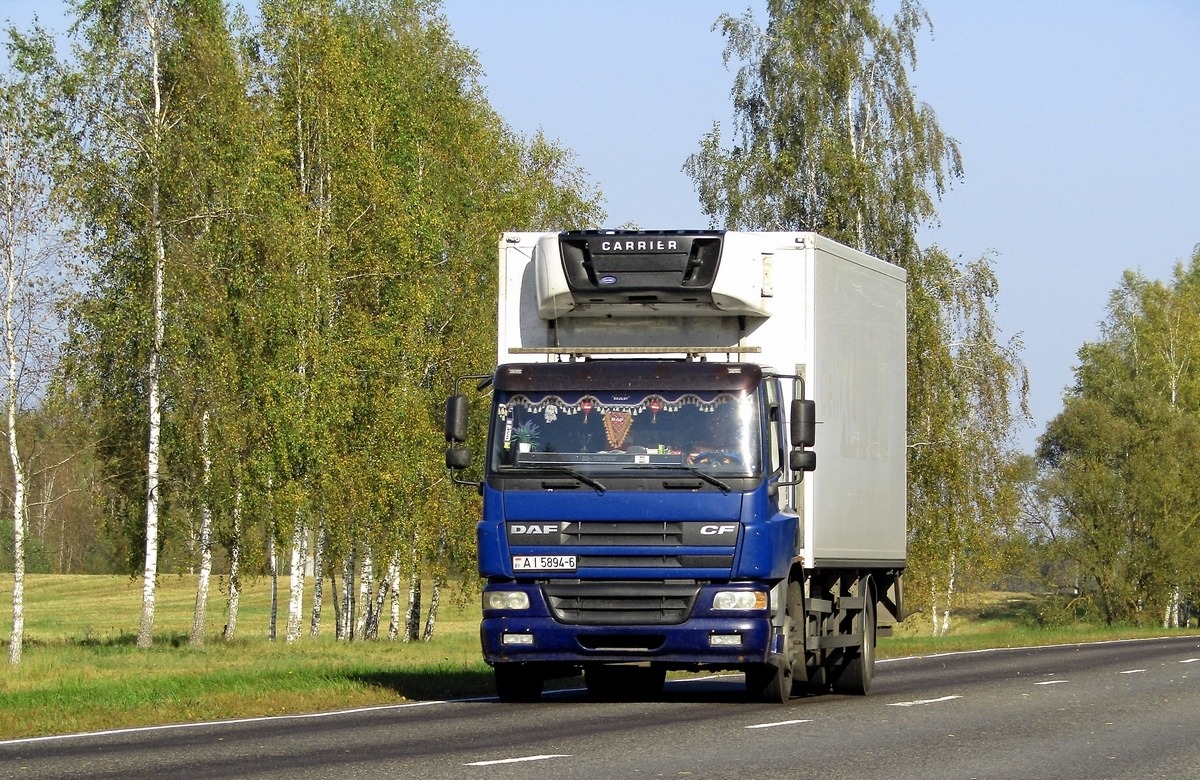 Могилёвская область, № АІ 5894-6 — DAF CF65 FA