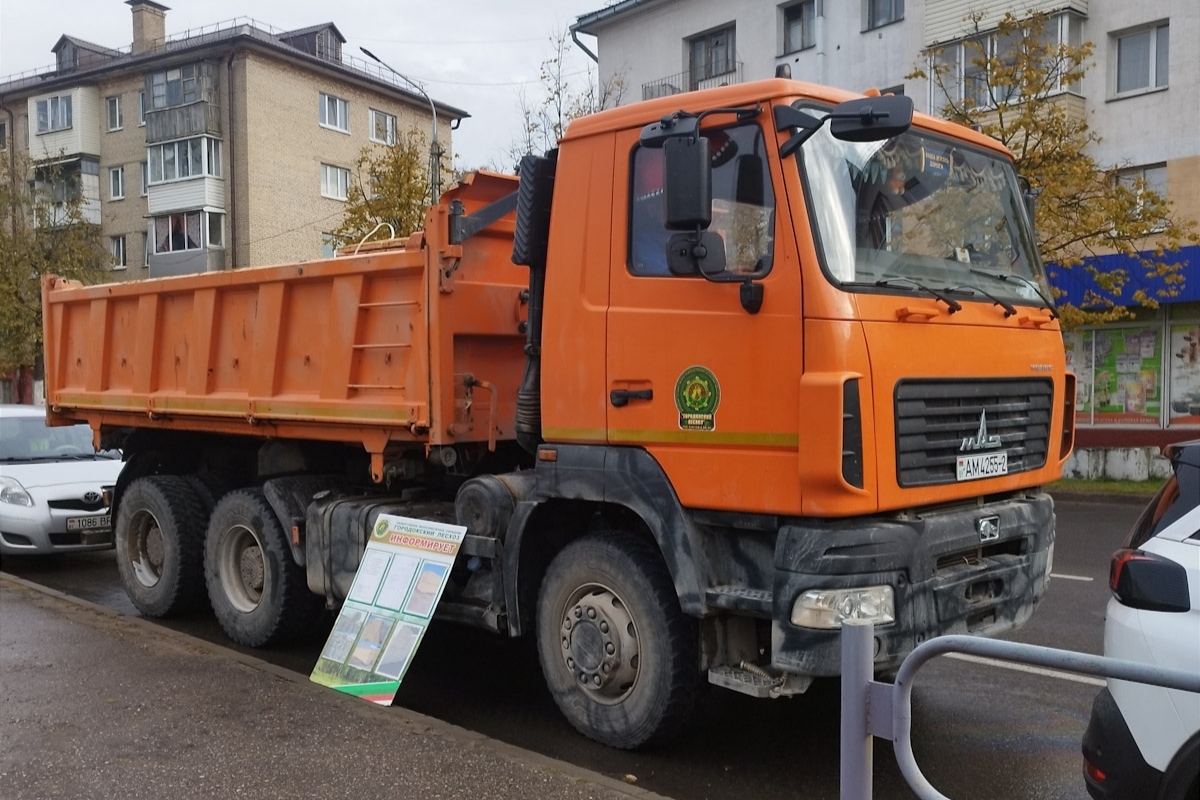 Витебская область, № АМ 4255-2 — МАЗ-6501 (общая модель)