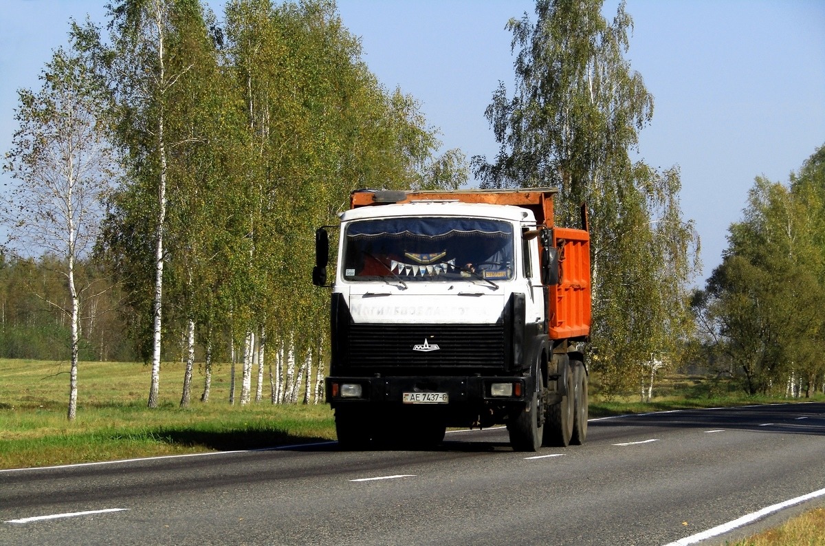 Могилёвская область, № АЕ 7437-6 — МАЗ-5516 (общая модель)