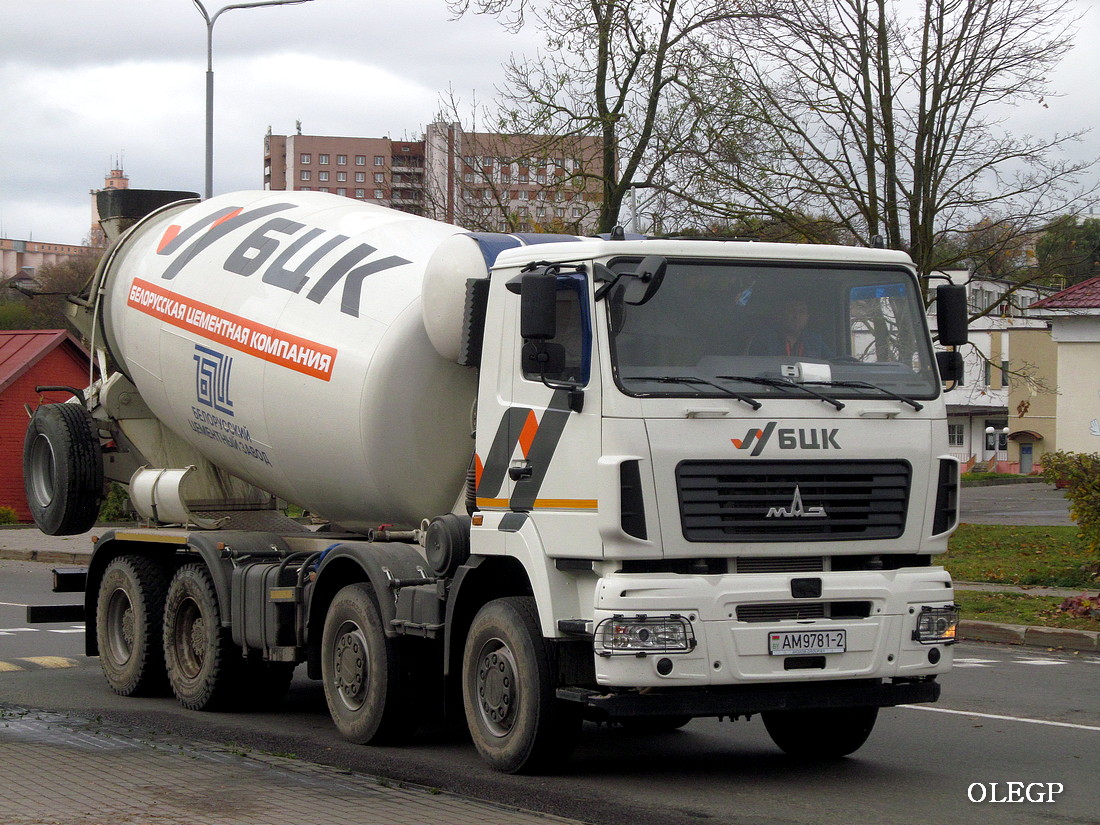 Витебская область, № АМ 9781-2 — МАЗ-6516 (общая модель)