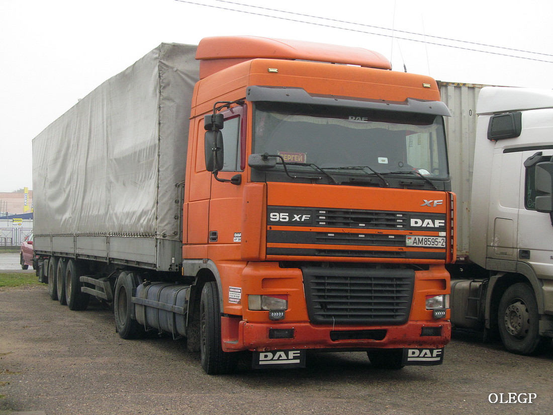 Витебская область, № АМ 8595-2 — DAF 95XF FT