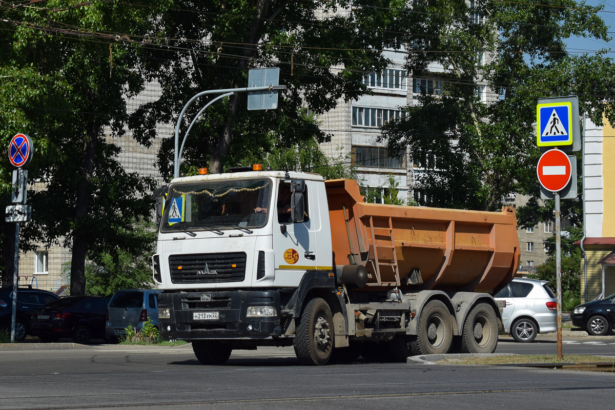 Алтайский край, № Н 213 УМ 22 — МАЗ-6501B5