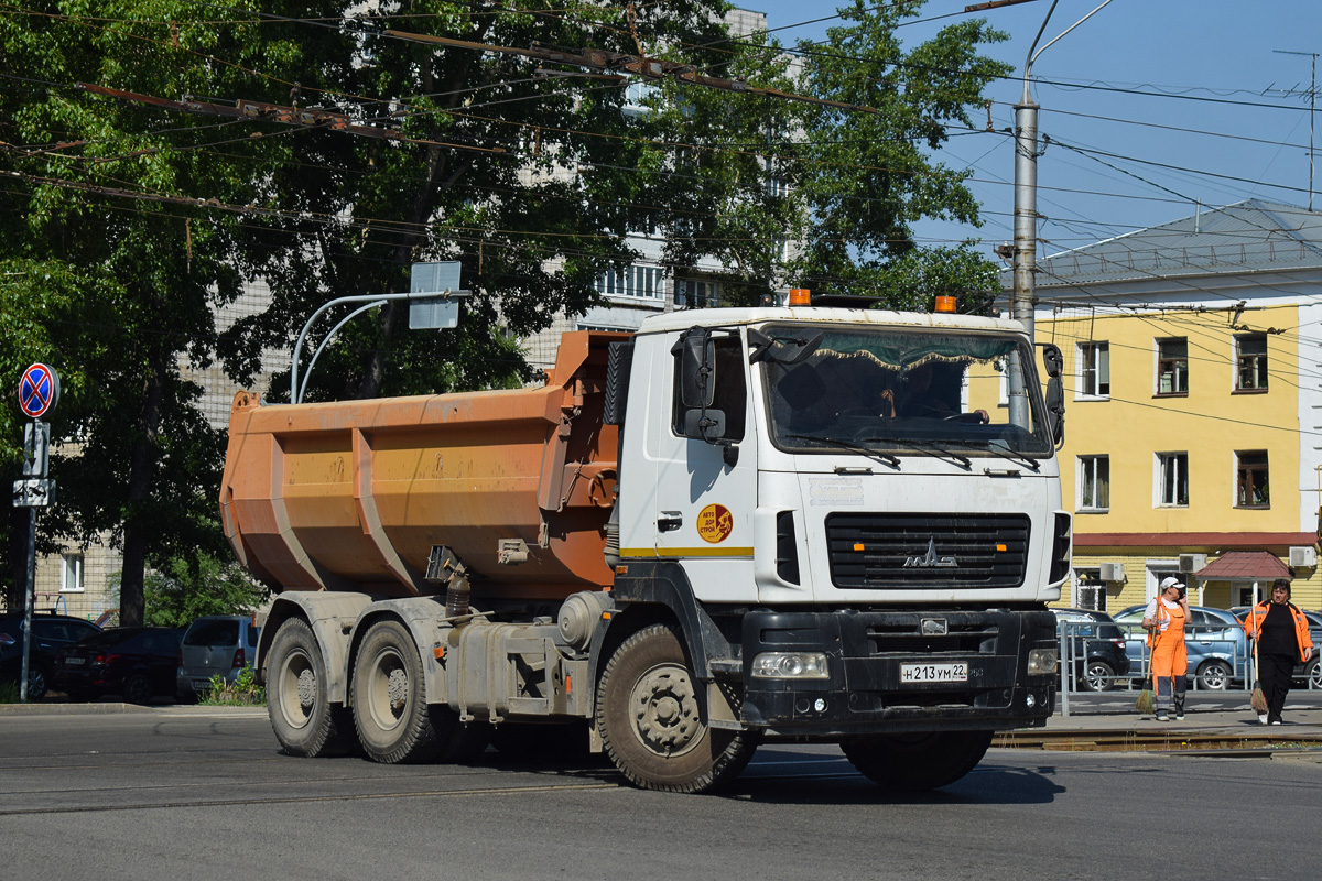 Алтайский край, № Н 213 УМ 22 — МАЗ-6501B5