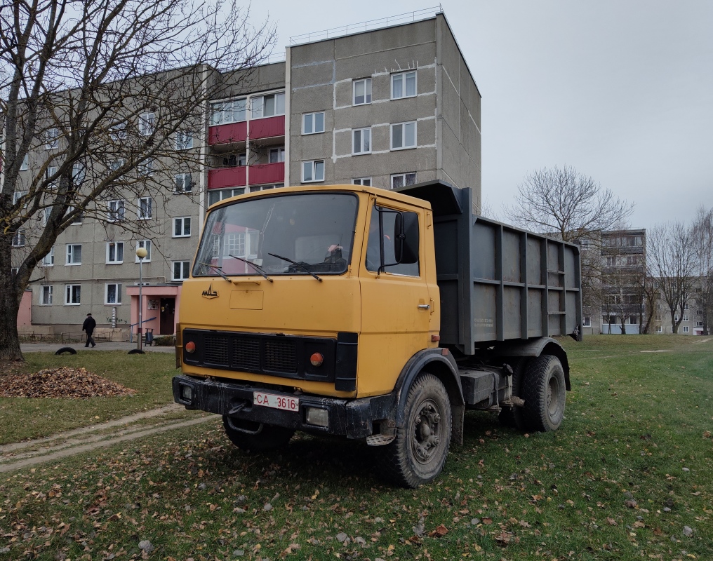 Гродненская область, № СА 3616 — МАЗ-5551 (общая модель)