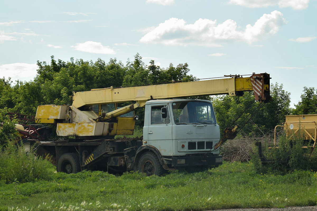 Алтайский край — Автомобили без номеров