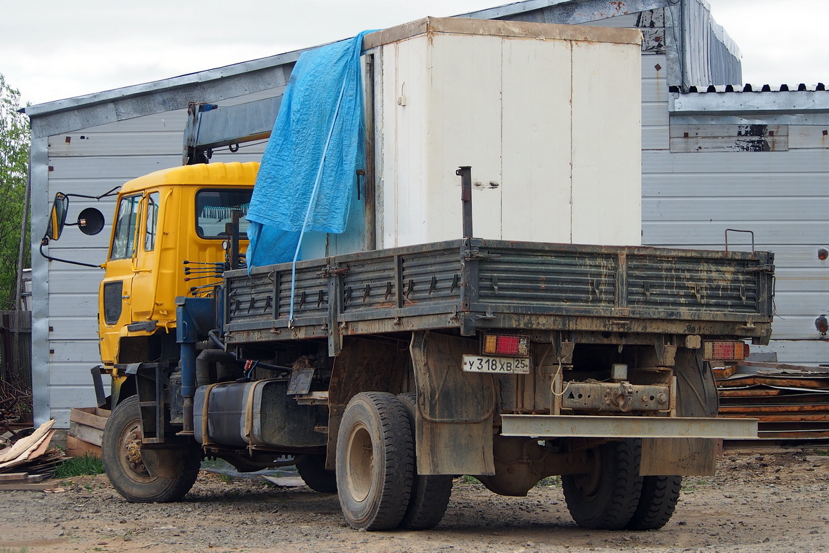 Сахалинская область, № У 318 ХВ 25 — Hino (общая модель)