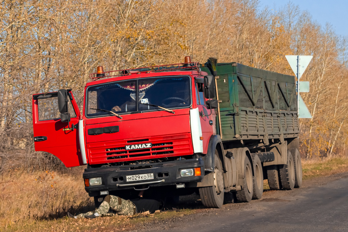 Омская область, № М 029 КО 55 — КамАЗ-5410