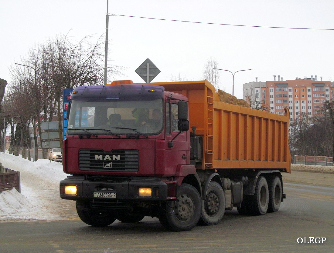 Витебская область, № АМ 8596-2 — MAN F2000 (общая модель)