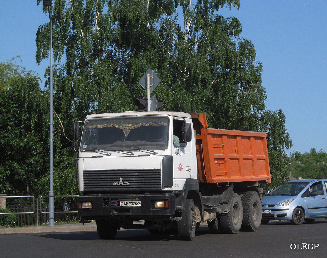 Витебская область, № АЕ 7328-2 — МАЗ-6501 (общая модель)