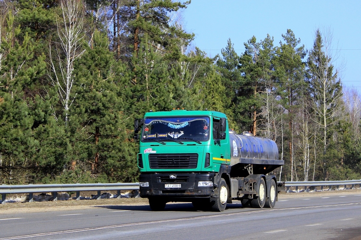 Могилёвская область, № АІ 4598-6 — МАЗ-6312 (общая модель)