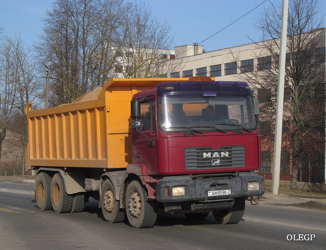 Витебская область, № АМ 8596-2 — MAN F2000 (общая модель)