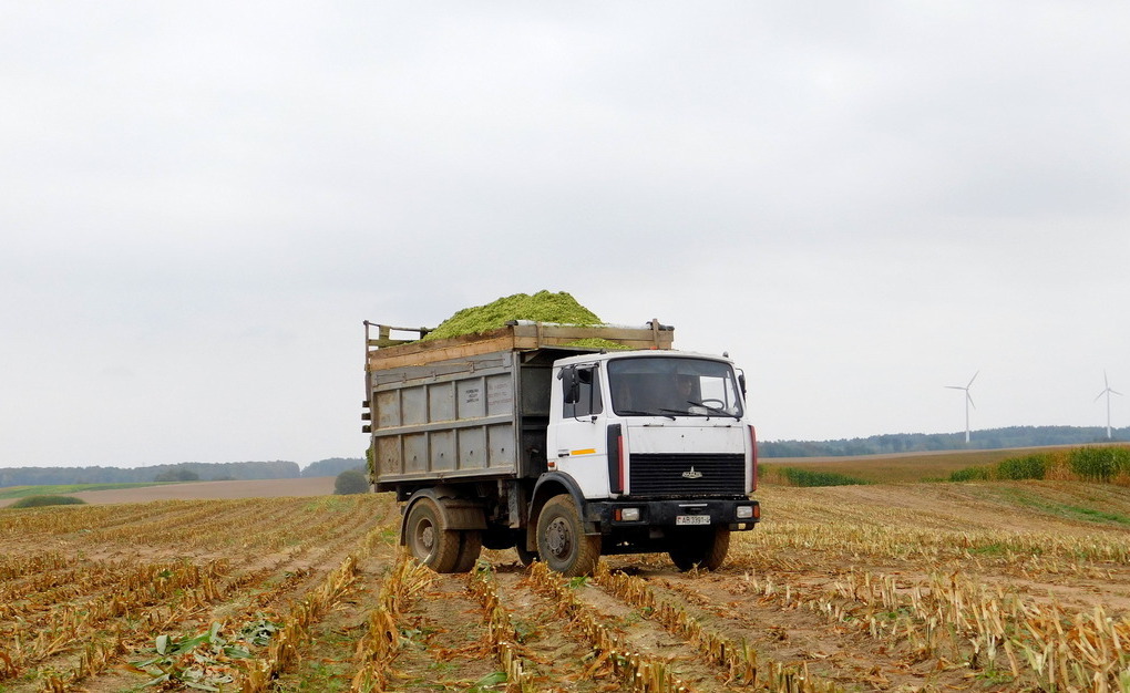 Гродненская область, № AB 3391-4 — МАЗ-5551 (общая модель)