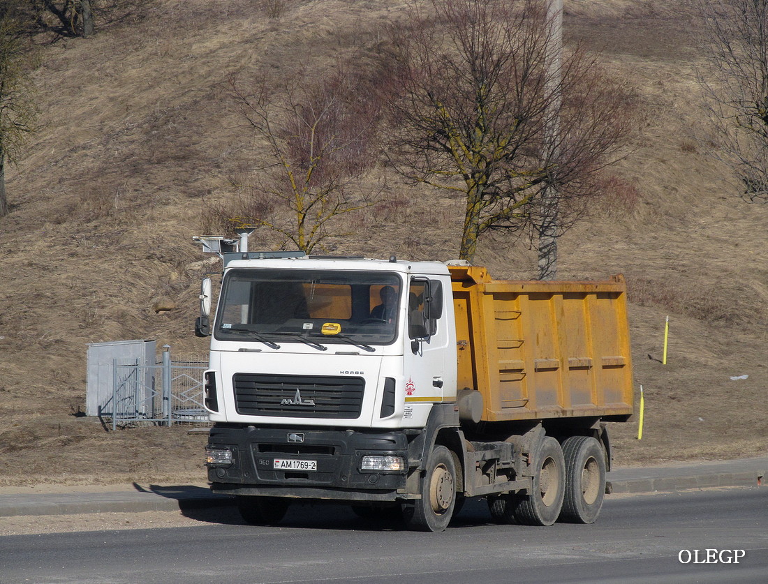 Витебская область, № АМ 1769-2 — МАЗ-6501 (общая модель)