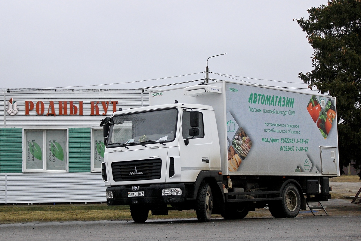 Могилёвская область, № АК 8110-6 — МАЗ-4581