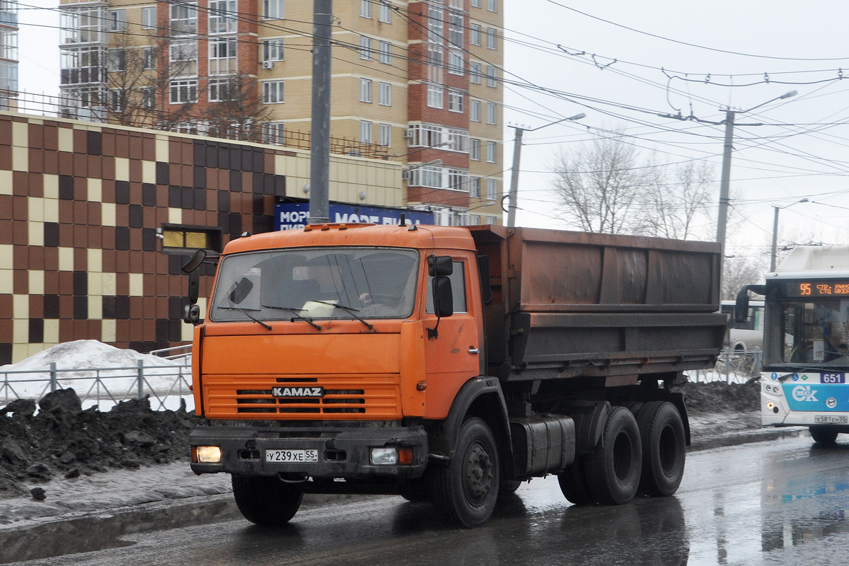 Омская область, № У 239 ХЕ 55 — КамАЗ-65115 (общая модель)