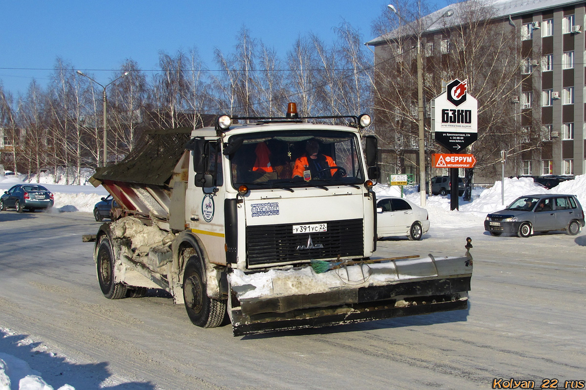 Алтайский край, № У 391 УС 22 — МАЗ-5337A2