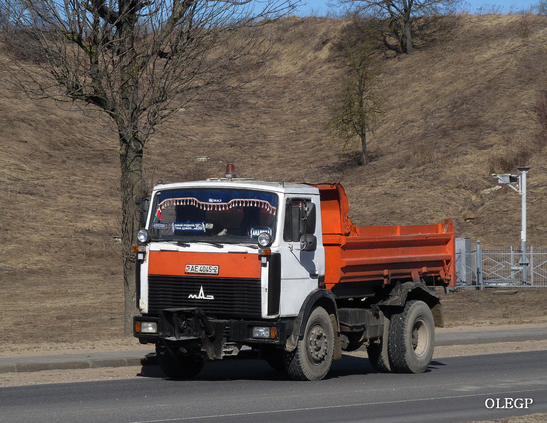 Витебская область, № АЕ 4045-2 — МАЗ-5551 (общая модель)