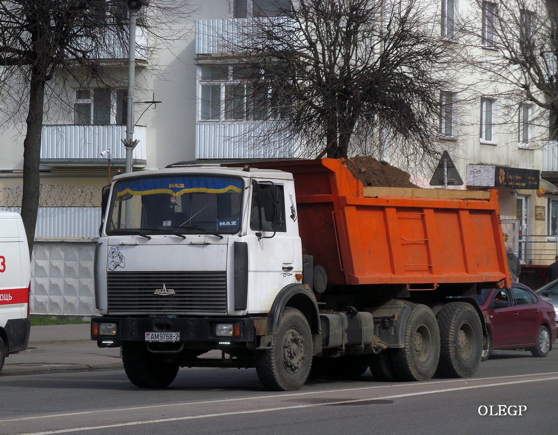 Витебская область, № АМ 9768-2 — МАЗ-5516 (общая модель)