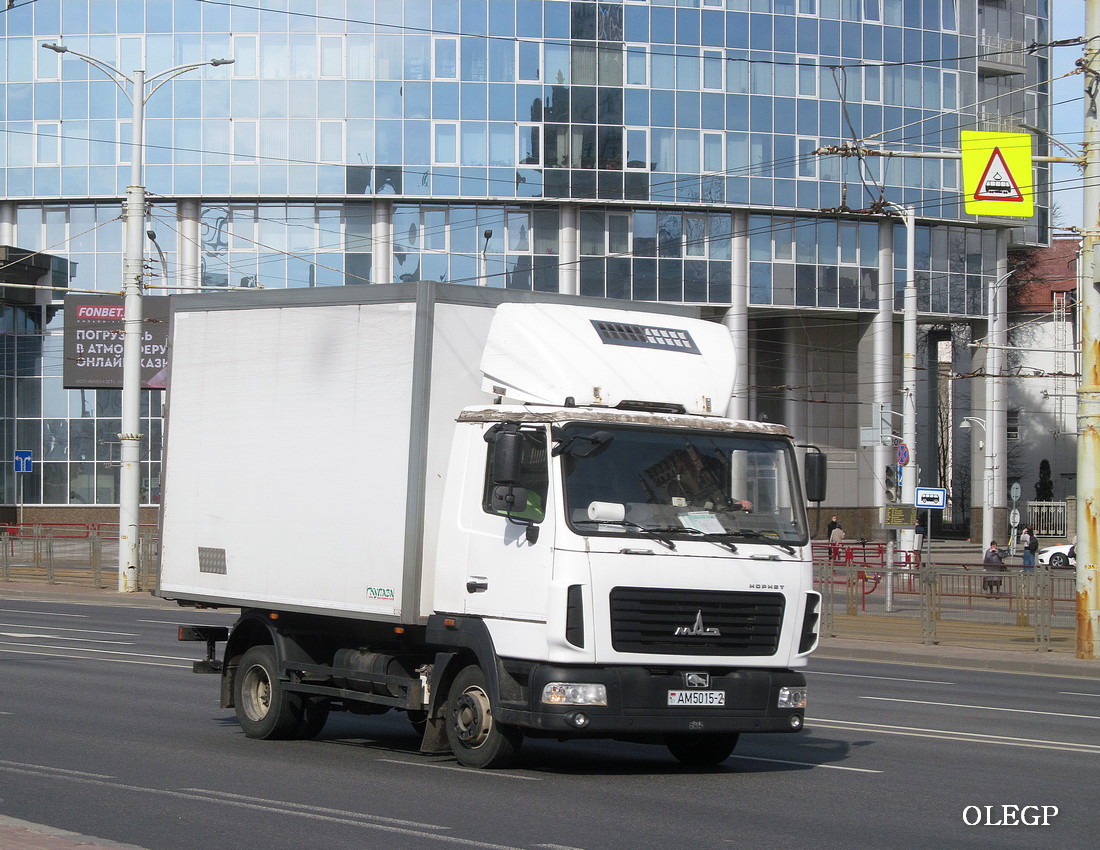 Витебская область, № АМ 5015-2 — МАЗ-4371 (общая модель)