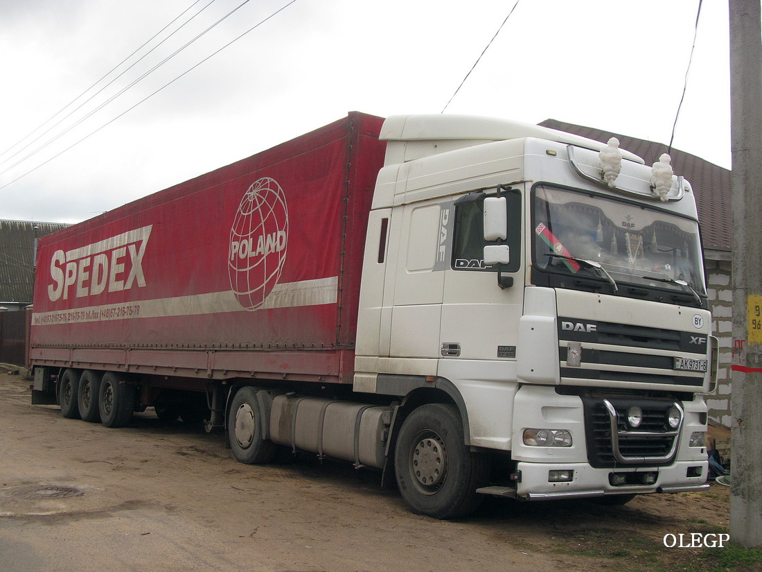 Могилёвская область, № АК 9731-6 — DAF XF95 FT