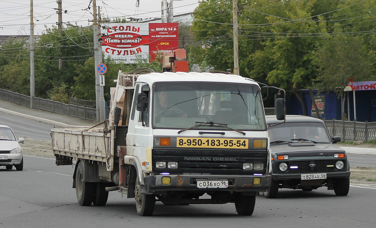 Оренбургская область, № С 036 ХО 96 — Nissan Diesel Condor