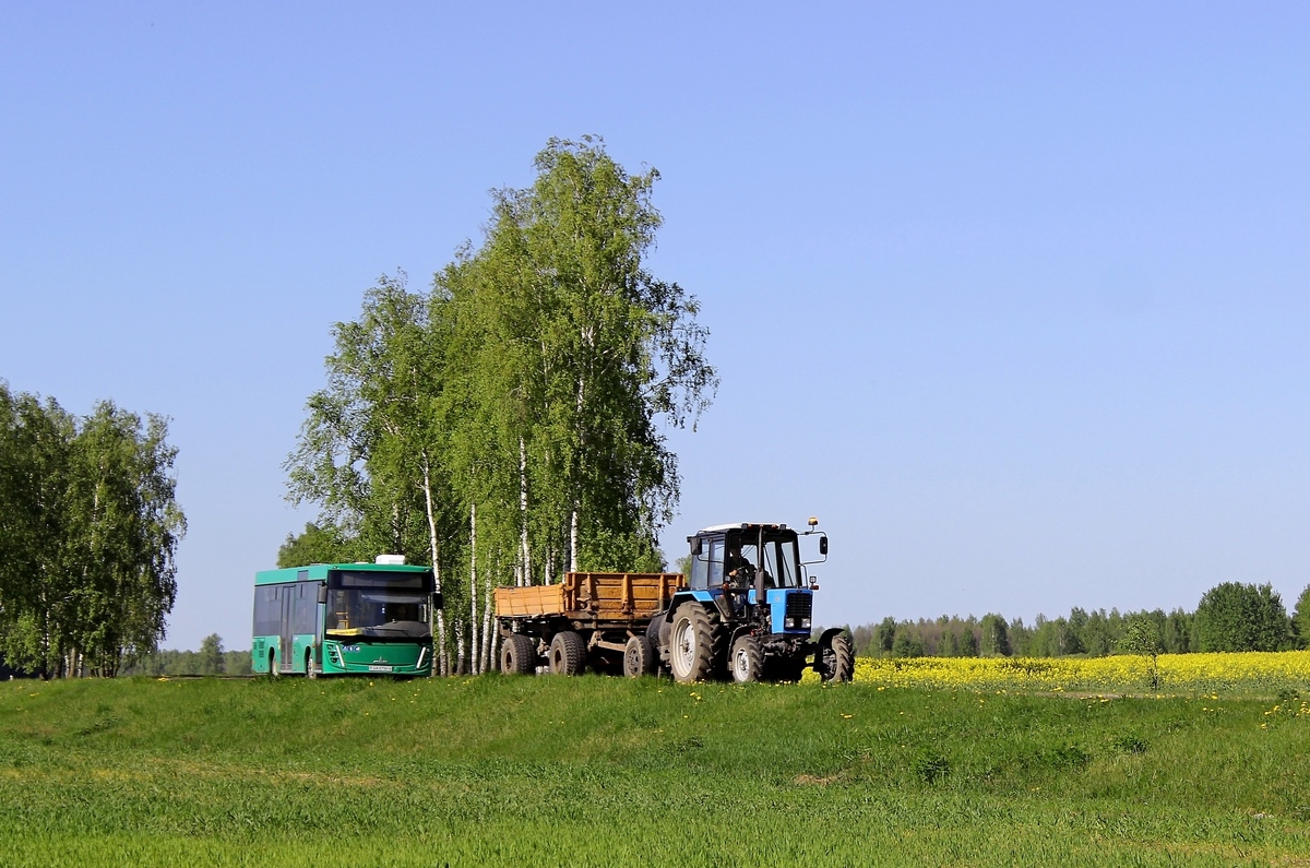 Могилёвская область, № ТК-6 3519 — Беларус-82.1