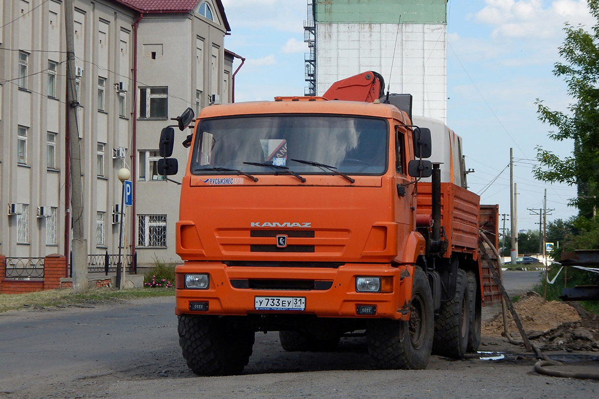 Белгородская область, № У 733 ЕУ 31 — КамАЗ-43118-24