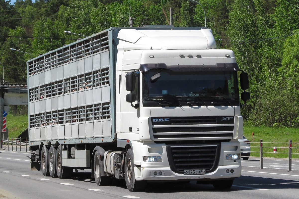 Липецкая область, № О 173 СН 48 — DAF XF105 FT