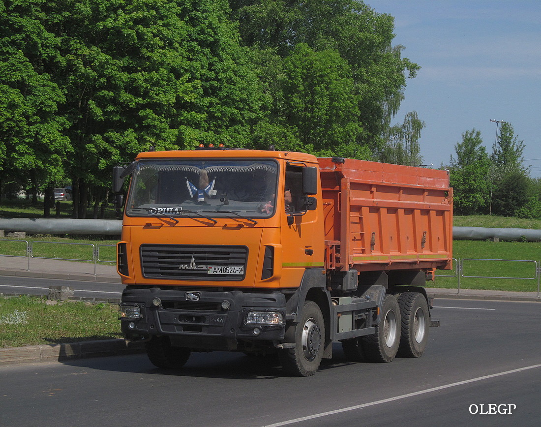 Витебская область, № АМ 8524-2 — МАЗ-6501 (общая модель)