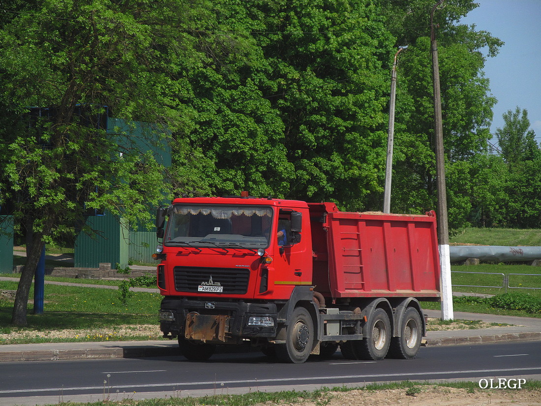 Витебская область, № АМ 8293-2 — МАЗ-6501 (общая модель)