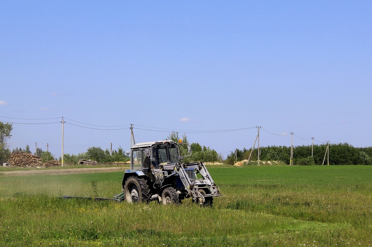 Могилёвская область, № ТВ-6 4633 — Беларус-82.1