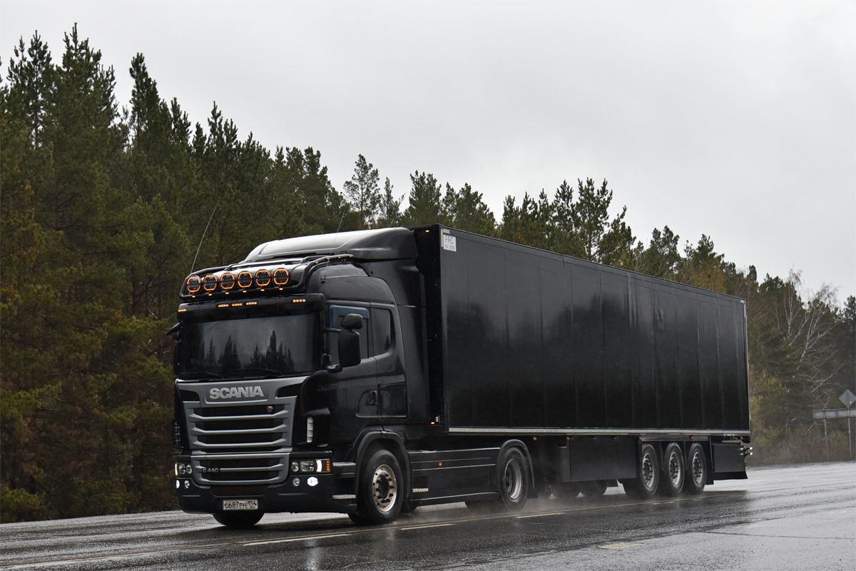 Новосибирская область, № О 687 РН 154 — Scania ('2009) G440