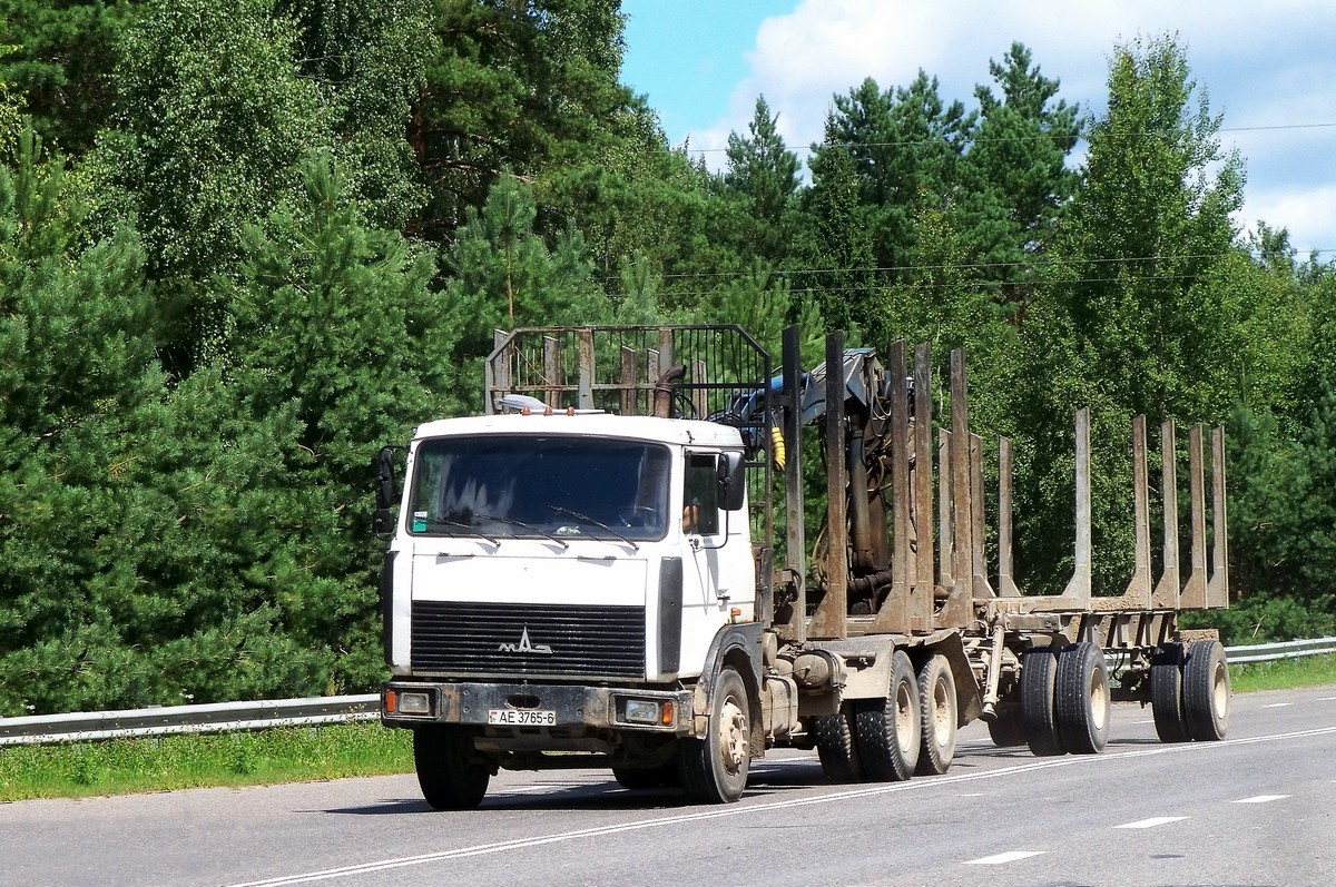 Могилёвская область, № АЕ 3765-6 — МАЗ-6303 (общая модель)