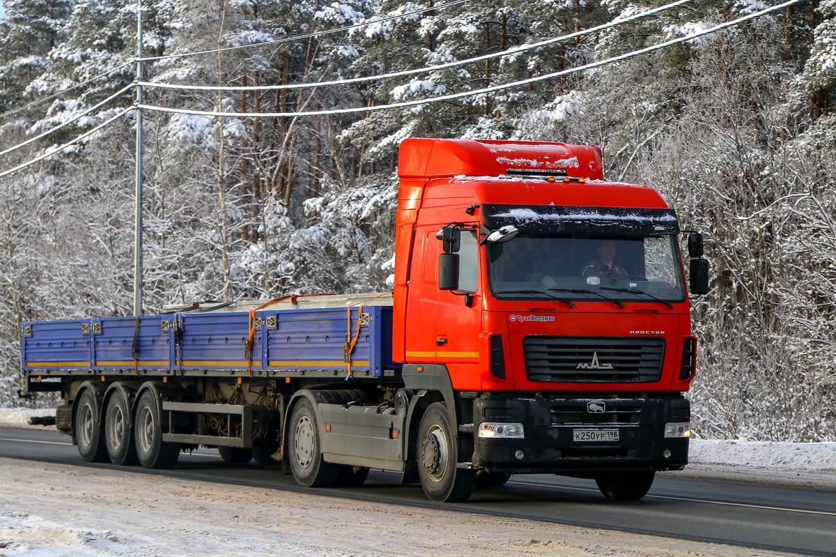 Санкт-Петербург, № К 250 УР 198 — МАЗ-544028