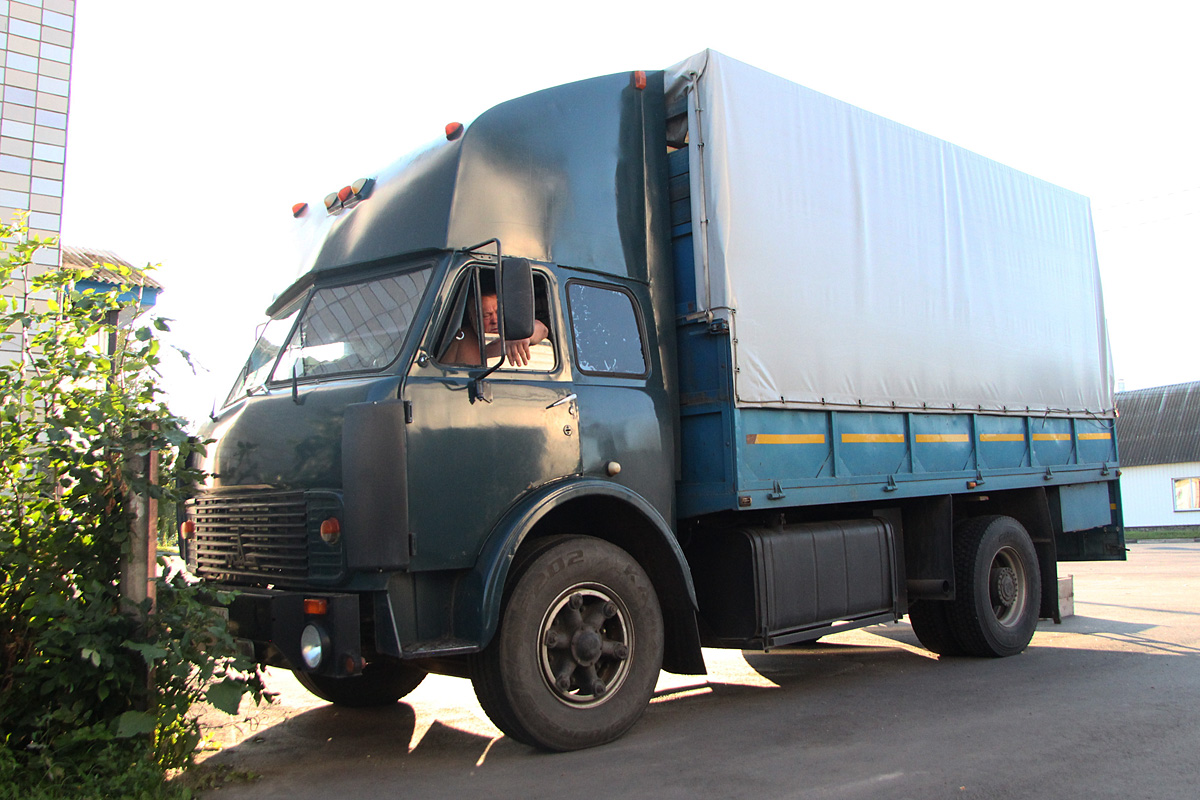 Курская область, № В 049 ЕР 46 — МАЗ-5334