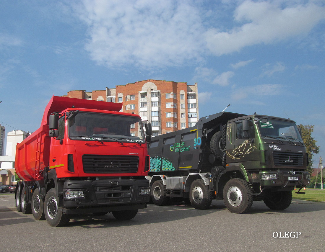 Витебская область — Семинар по эксплуатации республиканских автомобильных дорог 2024