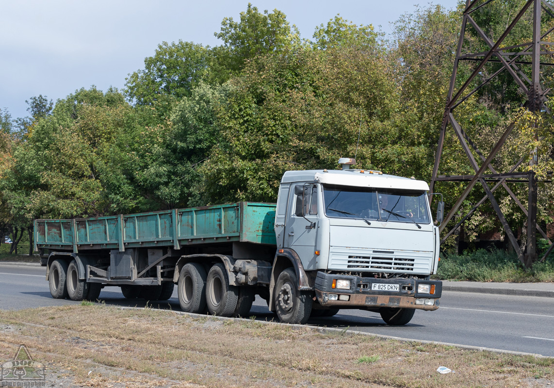 Восточно-Казахстанская область, № F 825 DKN — КамАЗ-54115-13 [54115N]