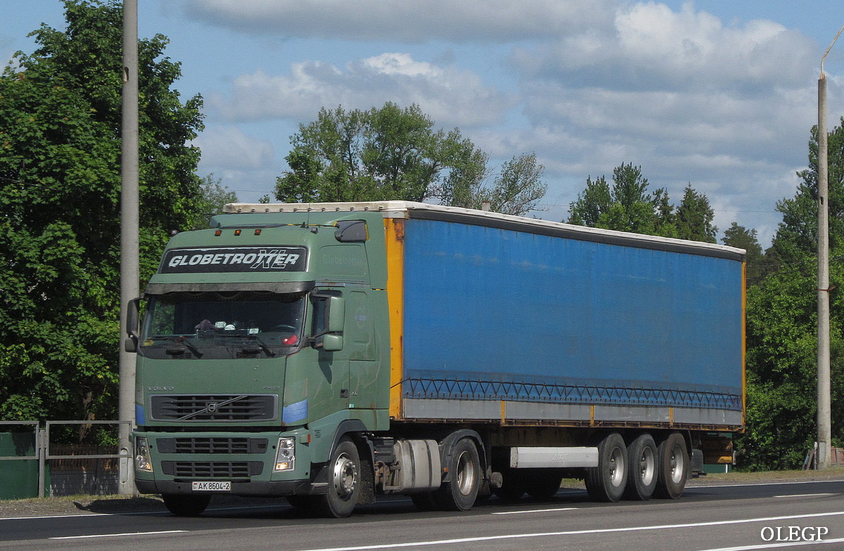 Витебская область, № АК 8604-2 — Volvo ('2002) FH12.460