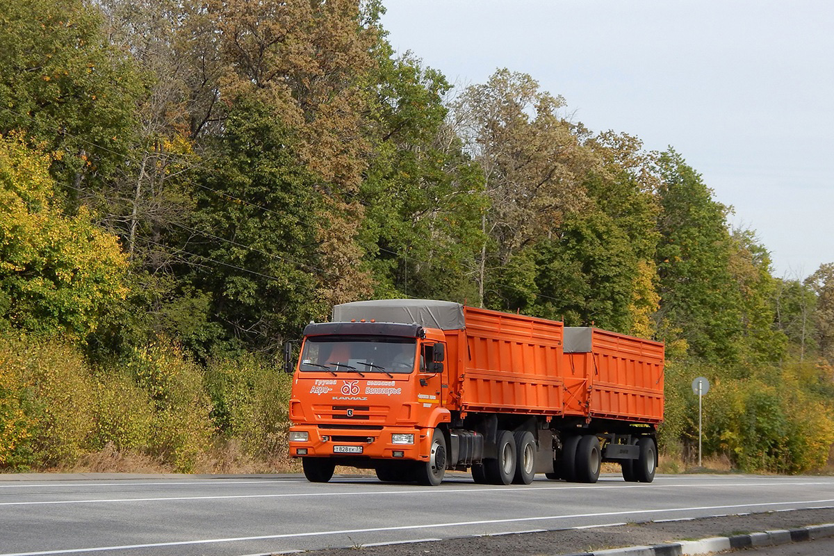 Белгородская область, № Т 828 ЕК 31 — КамАЗ-65115 (общая модель)