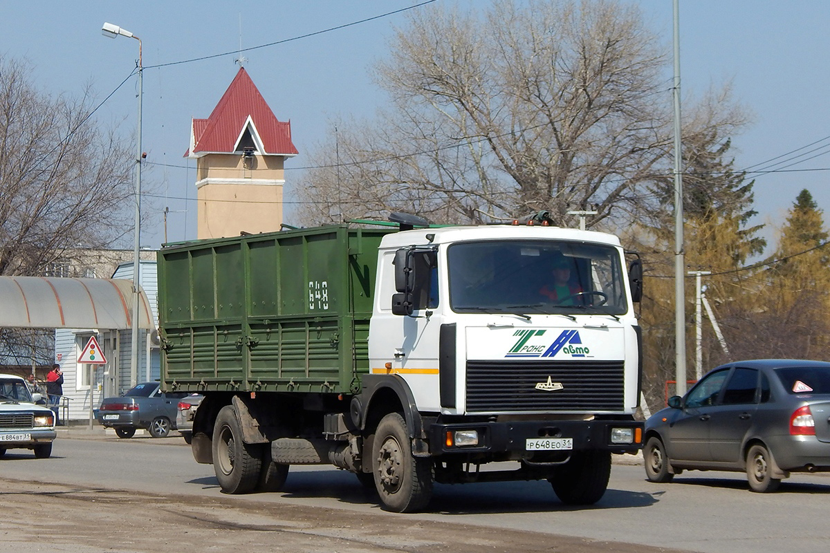 Белгородская область, № Р 648 ЕО 31 — МАЗ-5336A5