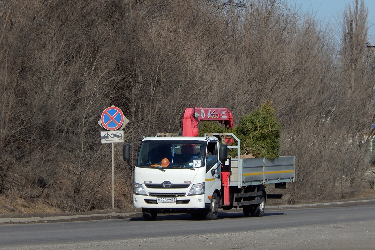 Белгородская область, № О 226 ХМ 31 — Hino (общая модель)