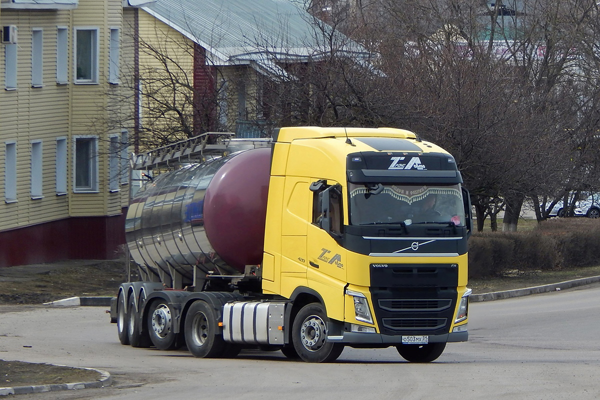 Белгородская область, № О 503 МХ 31 — Volvo ('2012) FH.420 [X9P]