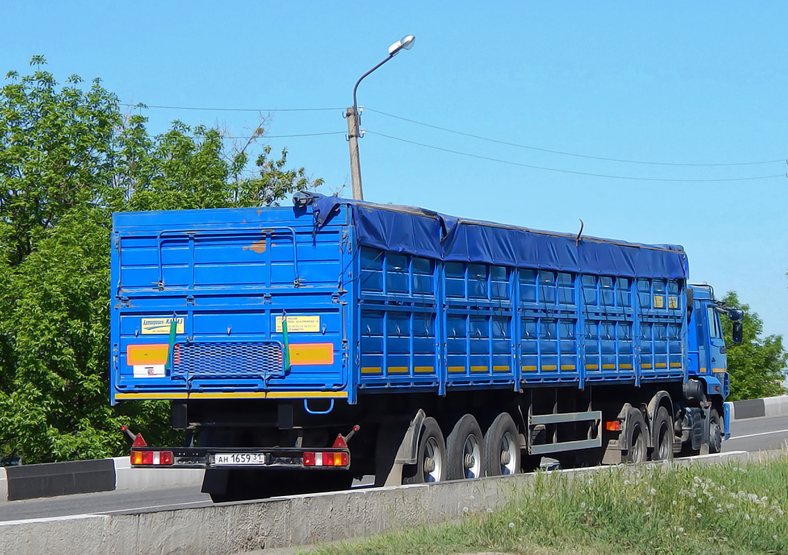 Белгородская область, № АН 1659 31 — СЗАП (общая модель)